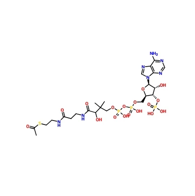 CAS 102029-73-2 |Asetyylikoentsyymi A natriumsuola