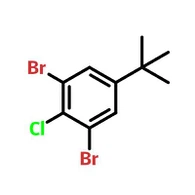 CAS:1000578-25-5|4-Kloori-3,5-dibromi-tert-butyylibentseeni