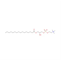 CAS: 17364-16-8|P-LysoPC 1-Palmitoyyli-sn-glysero-3-fosfokoliini