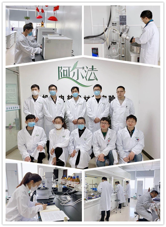 Anti-corrosion And Anti-mold Fungicides