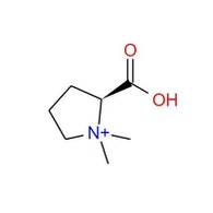 CAS: 471-87-4|N,N-dimetyyli-L-proliini